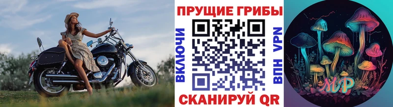 Псилоцибиновые грибы MAGIC MUSHROOMS  Купить где  Няндома 